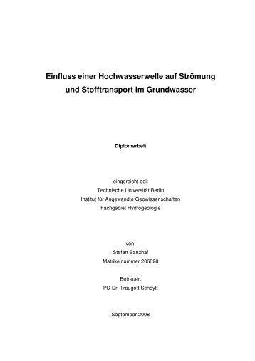 Einfluss einer Hochwasserwelle auf Strömung und Stofftransport im ...