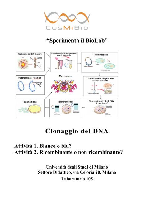 Clonaggio del DNA Clonaggio del DNA - CusMiBio - UniversitÃ  ...