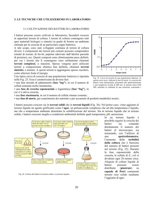 Clonaggio del DNA Clonaggio del DNA - CusMiBio - UniversitÃ  ...