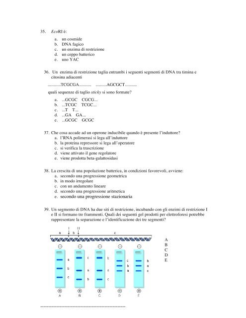 Clonaggio del DNA Clonaggio del DNA - CusMiBio - UniversitÃ  ...