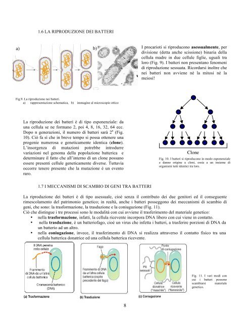 Clonaggio del DNA Clonaggio del DNA - CusMiBio - UniversitÃ  ...