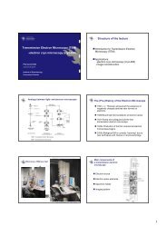 TEM - CryoEM - Biomedicum Imaging Unit (BIU) - Helsinki.fi