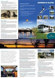 Camping-in-Clutha-Brochure.pdf - Clutha District Council