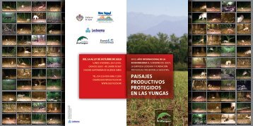 Descargar el folleto Paisajes Productivos Protegidos en las Yungas