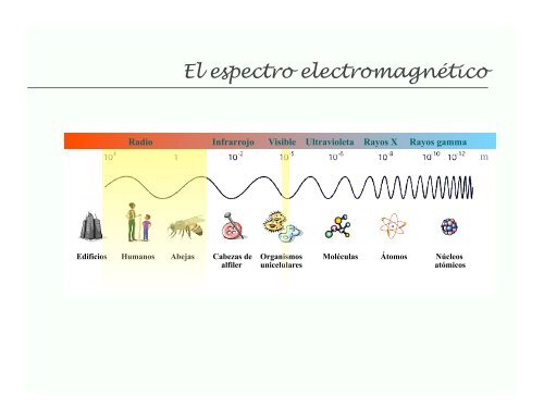 clase 1