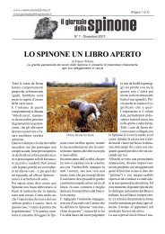 LO SPINONE UN LIBRO APERTO di Franco Poletta - NÂ°7