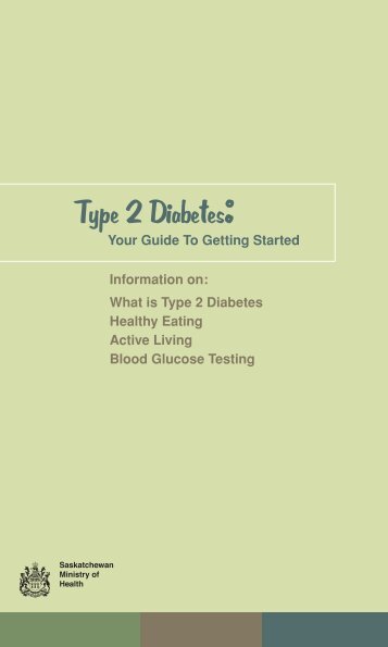 Type 2 Diabetes: Your guide to getting started - Saskatchewan Health