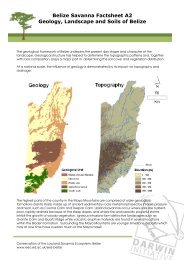 Belize Savanna Factsheet A2 Geology, Landscape and Soils of Belize