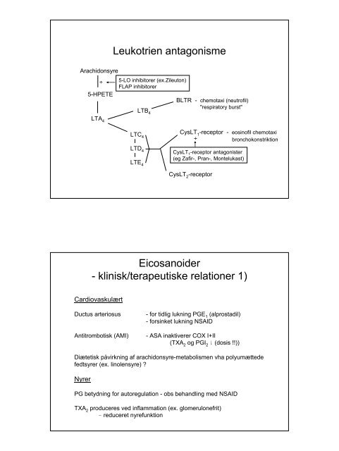 Inflammation - Institutleder til klinisk medicin