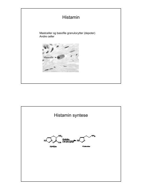 Inflammation - Institutleder til klinisk medicin