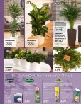 2 Free Magazines From Garten Mueller Info