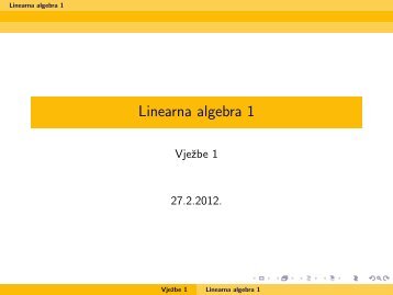 Linearna algebra 1