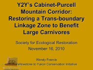 Yellowstone to Yukon's Cabinet-Purcell Mountain Corridor - Global ...