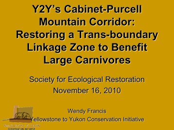 Yellowstone to Yukon's Cabinet-Purcell Mountain Corridor - Global ...