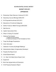 BUDGET 2010-2011 APPENDICES A ... - Sachem Unspun