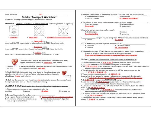Cellular Transport Worksheet 1 SOLUTIONS.pdf - kyoussef-mci - home