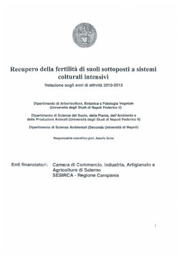 Scarica il testo della relazione - Regione Campania