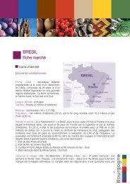 Fiche marché Brésil - Bourgogne tourisme
