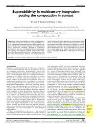 Superadditivity in multisensory integration: putting the ... - CI Wiki