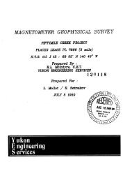 MAGNETOMETER GEOPHYSICAL SURVEY