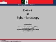 Basics in light microscopy - BioImaging and Optics platform (PTBIOP ...