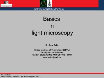 Basics in light microscopy - BioImaging and Optics platform (PTBIOP ...