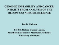 GENOMIC INSTABILITY AND CANCER: INSIGHTS FROM ...