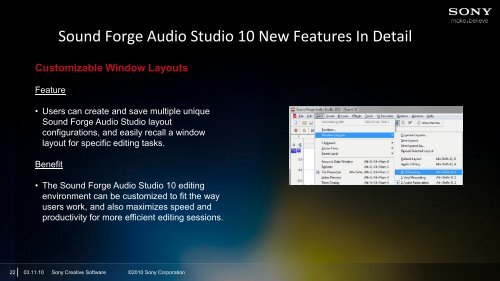 2010 Sony Creative Software Consumer Product Reviewer's Guide