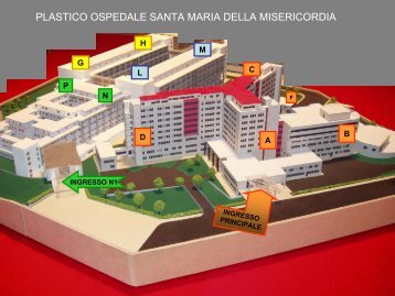 plastico ospedale santa maria della misericordia - FacoltÃ  di ...