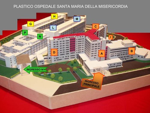 plastico ospedale santa maria della misericordia - FacoltÃ di ...