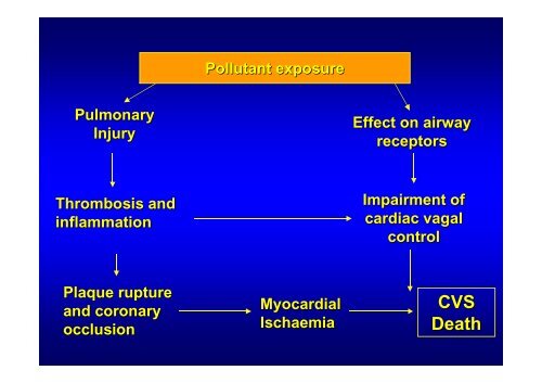 Air Pollution and Health –unanswered questions - IAPSC