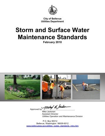 Storm and Surface Water Maintenance Standards - City of Bellevue