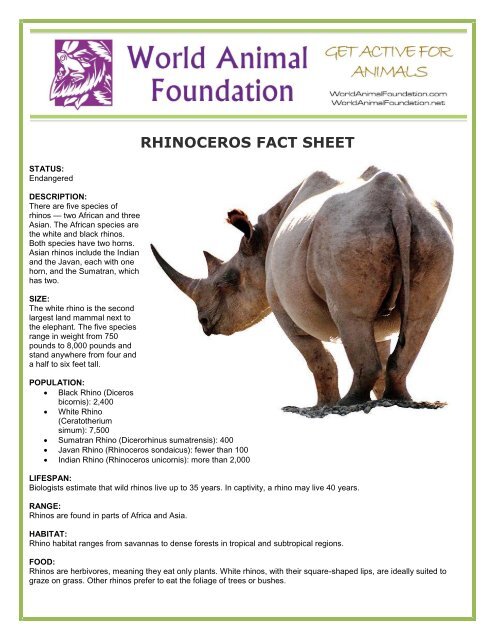 RHINOCEROS FACT SHEET - World Animal Foundation