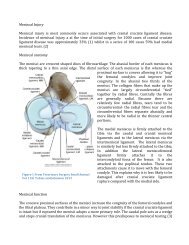 Marchevsky Meniscal Injury