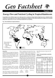 25 Energy flow- Rainforests.pdf - Richmond School District No. 38