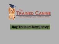 Dog Trainers New Jersey