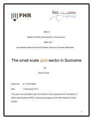 The small scale gold sector in Suriname - FHR Lim A Po Institute for ...