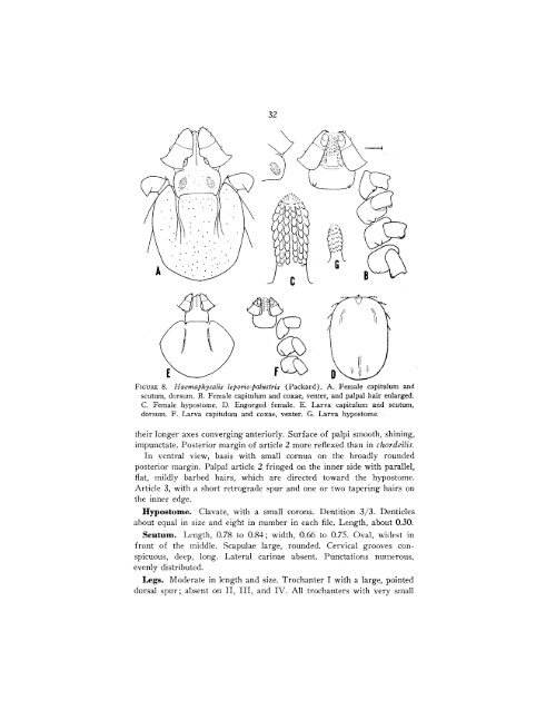 The Genera Boophilus Rhipicephalus and Haemaphysalis (Ixodidae ...