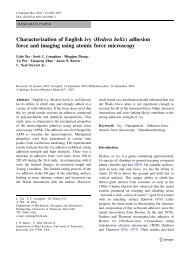 Characterization of English ivy (Hedera helix) adhesion force and ...