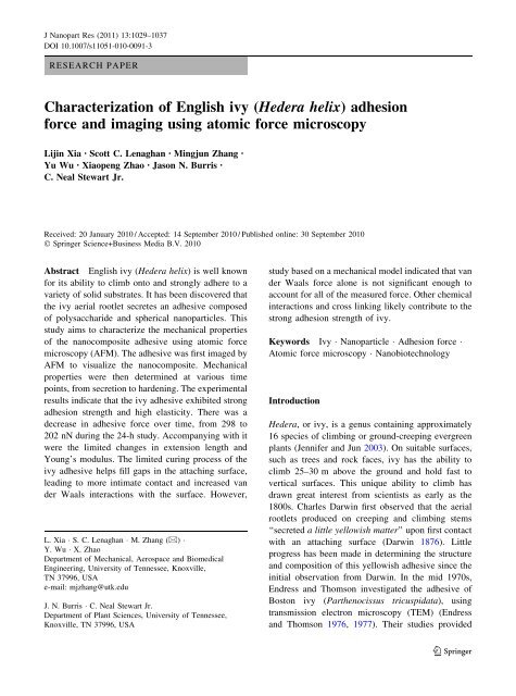 Characterization of English ivy (Hedera helix) adhesion force and ...