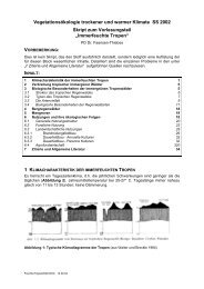 Manuskript Faensen-Thiebes - TU Berlin