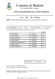 58_Del_07-06-2012.pdf - Comune di Budoni