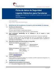 Ficha de Datos de Seguridad Liga-Roc - Holcim