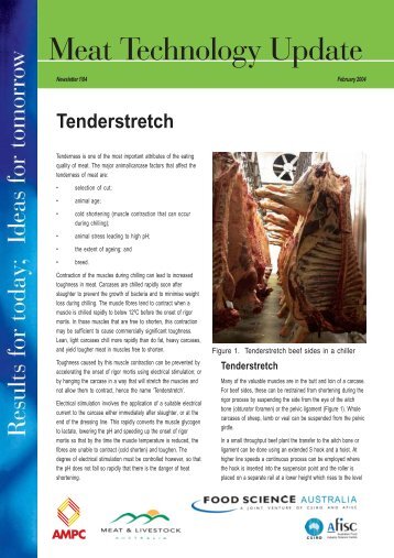 Tenderstretch - Meat Industry Services
