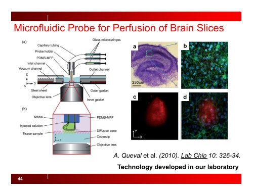 Introduction to Microfluidics - KATE.pptx - McGill University