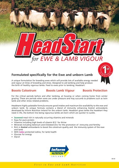 headstart ewe-lamb A4:headstart ewe/lamb A4 - Inform Nutrition