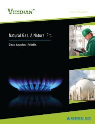 Brochure Download: Natural Gas. A Natural Fit. - Viridian