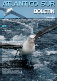 BoletÃ­n 7 - Cicmar