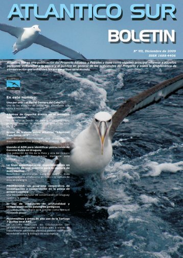 BoletÃ­n 7 - Cicmar