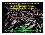 Climate change & Pacific salmon catch dynamics in Russia: d